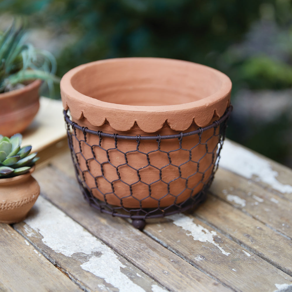 Load image into Gallery viewer, Chicken Wire Caddy with Scalloped Terra Cotta Pot
