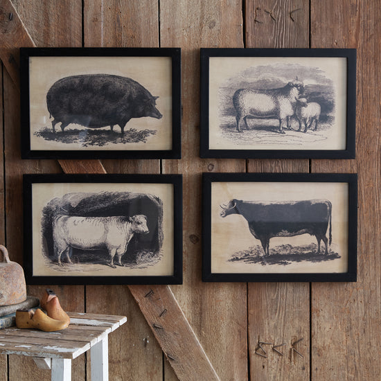 Homestead Framed Canvas - Lambs