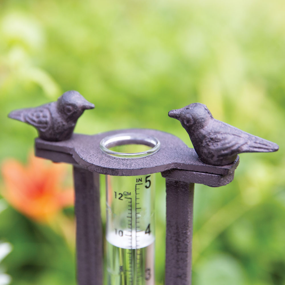 Two Birds Tabletop Rain Guage
