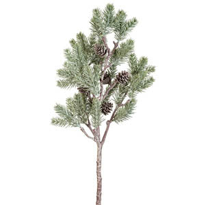Pine Branch with Cones