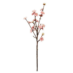 Load image into Gallery viewer, Peach Blossom Spray - Box of 2
