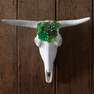 Longhorn Skull with Faux Succulents
